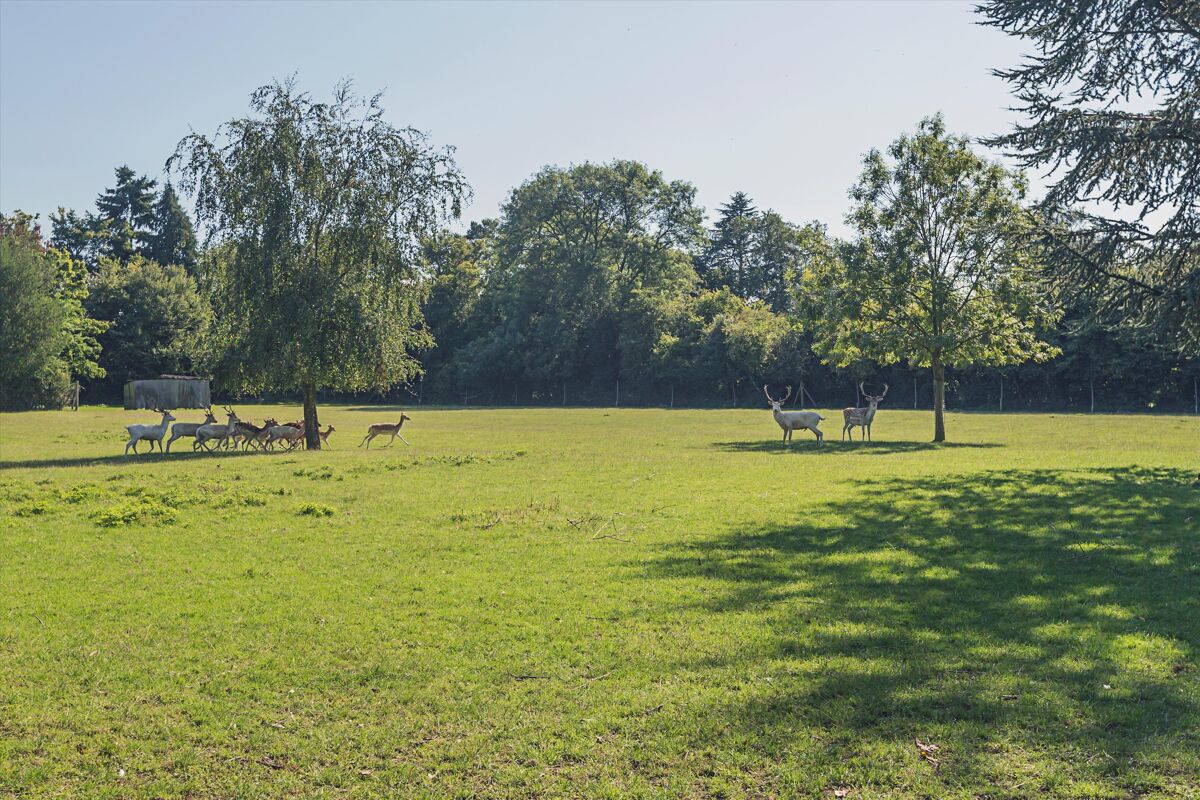 house for sale in Little Chalfont, Amersham, Buckinghamshire, HP7