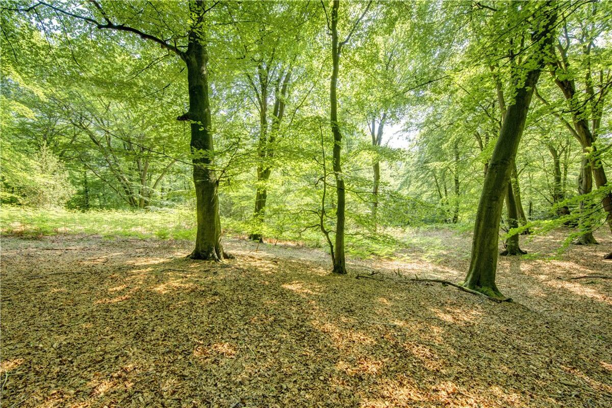 house for sale in Egypt Lane, Farnham Common, Buckinghamshire, SL2