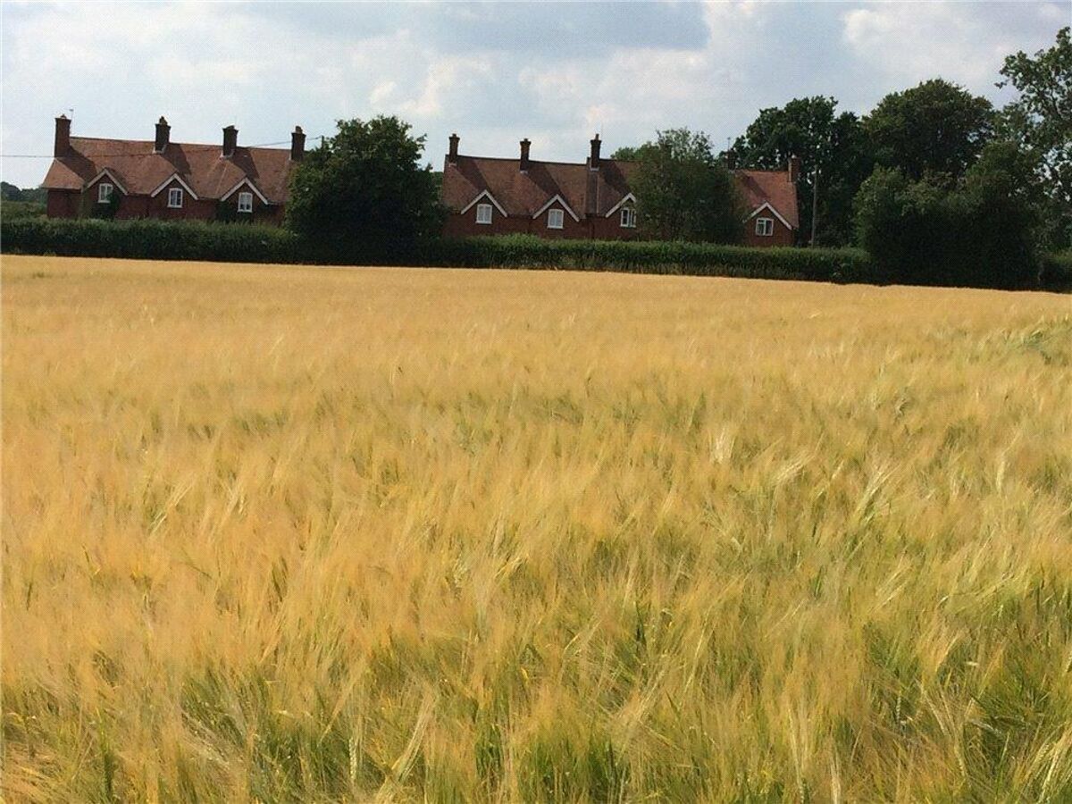 house for sale in Little Twye Cottages, Little Twye Road, Buckland