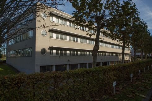 Picture of 438 - 1,007 sqm Office for rent.