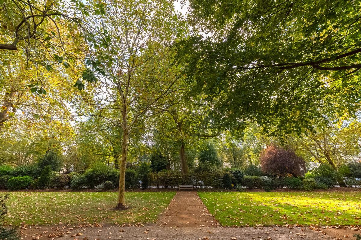 flat to rent in Eaton Square, Belgravia, London, SW1W BEQ012099548