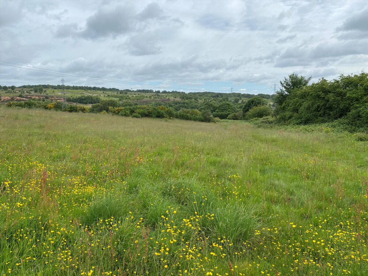 Land for sale in Chorley Road, Burntwood, WS7 BLA012268140 Knight Frank