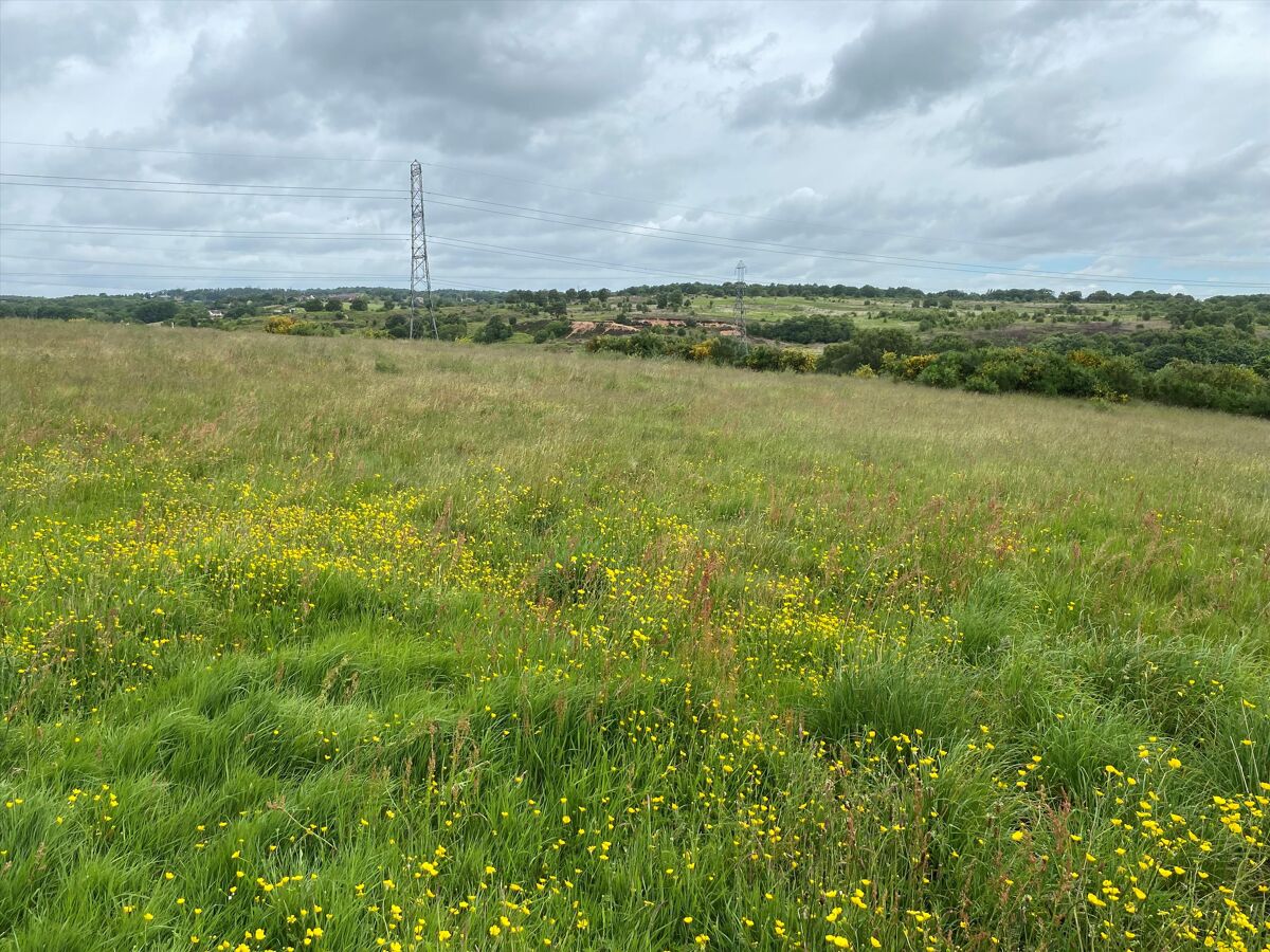 Land for sale in Chorley Road, Burntwood, WS7 BLA012268140 Knight Frank