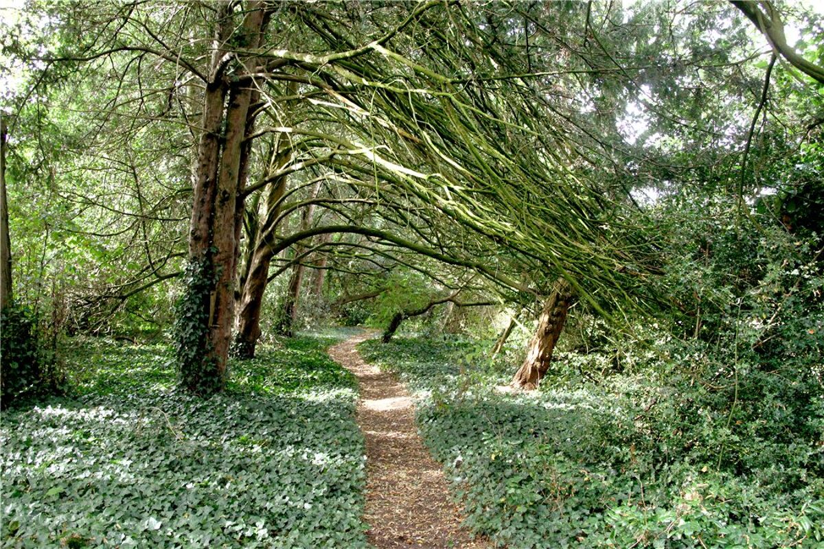 house for sale in Ampthill Road, Silsoe, Bedford, MK45 BRK090213