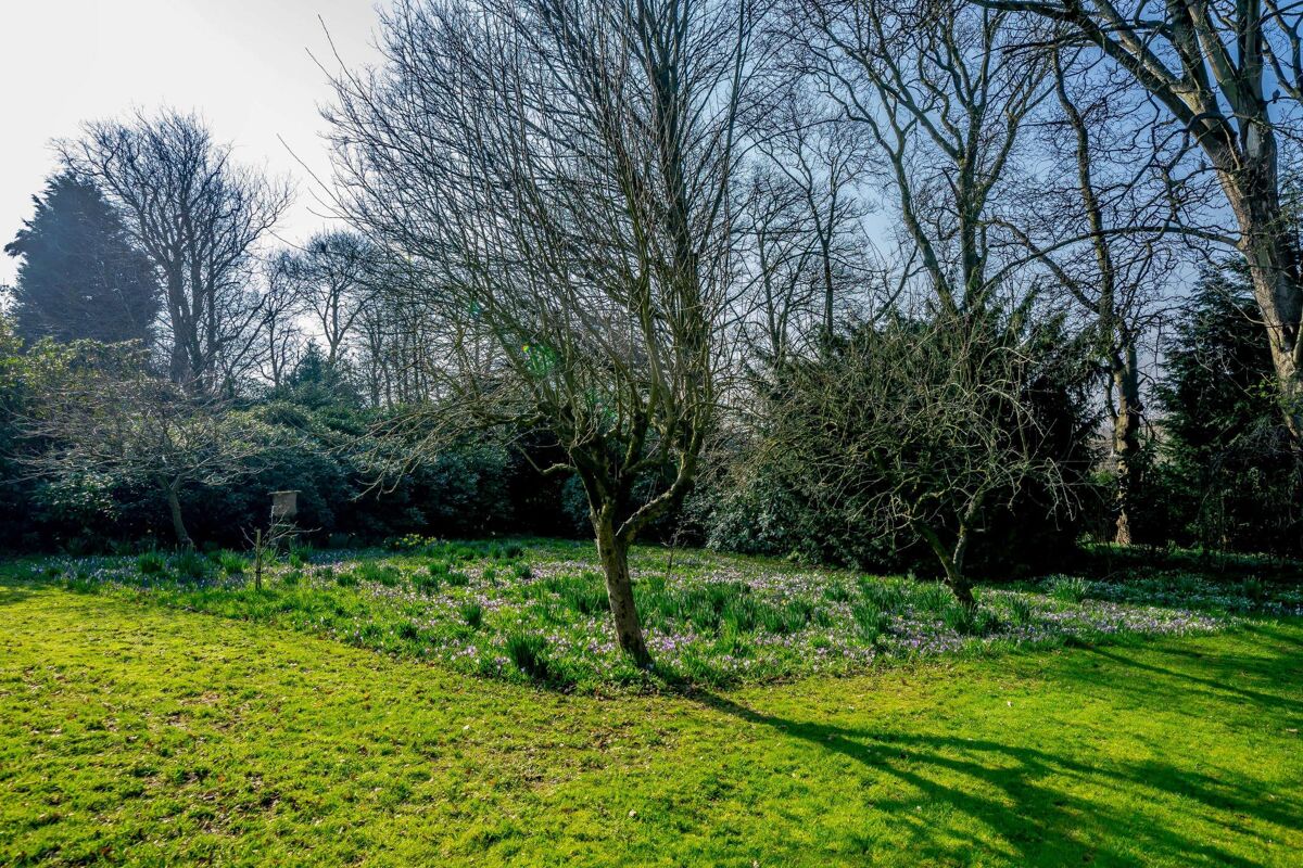 house for sale in Auchinleck Drive, Lichfield, Staffordshire, WS13