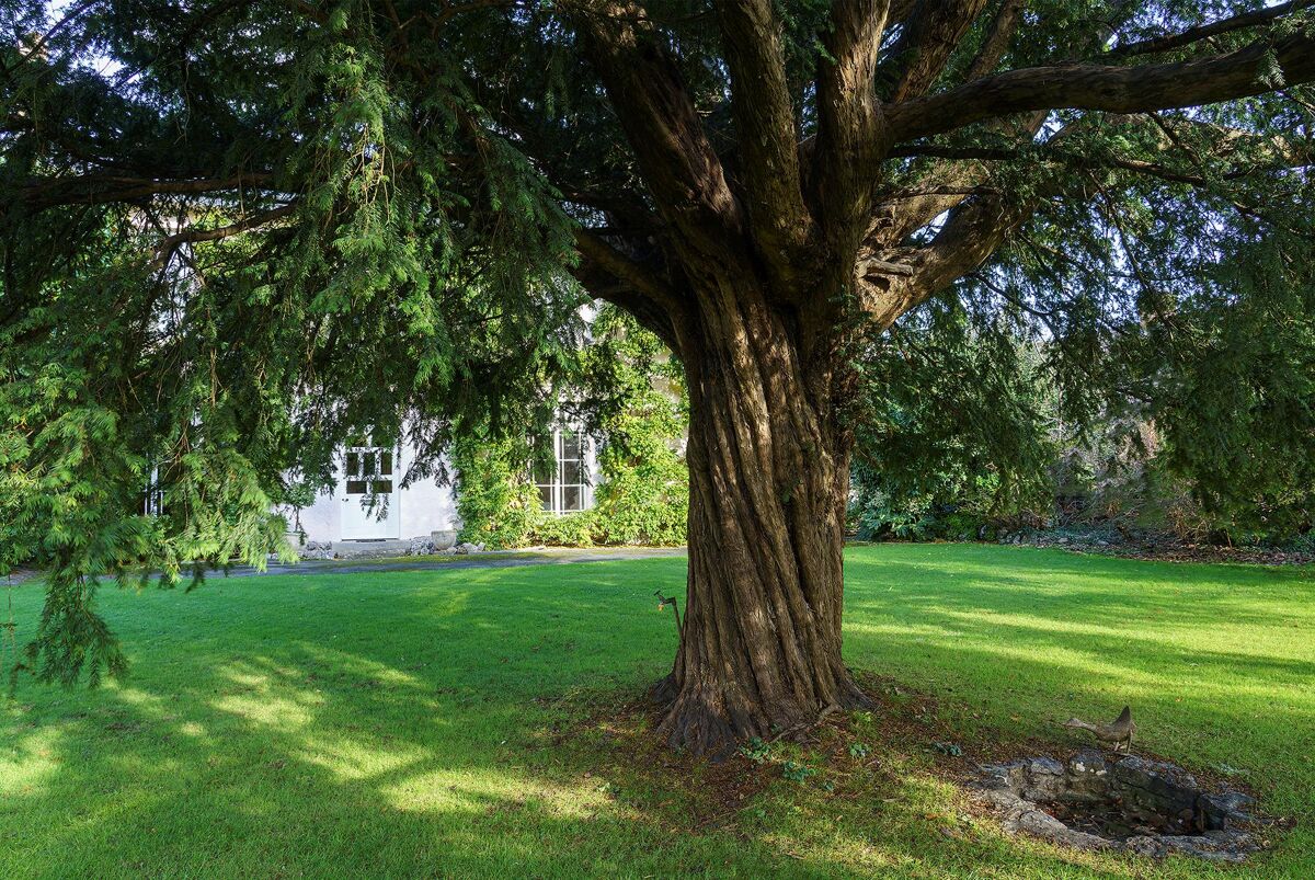 house for sale in Kent Street, Cheddar, Somerset, BS27 BRS012124057