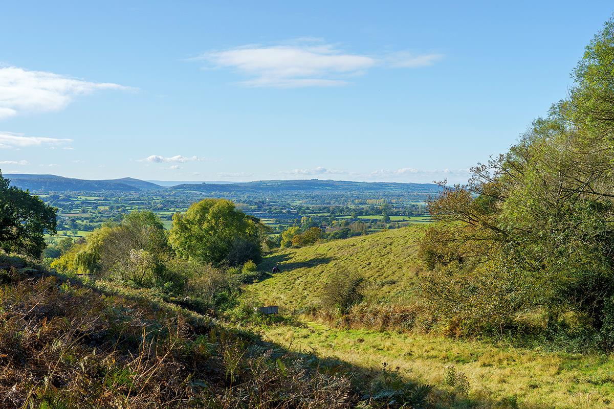 house for sale in West Hay Road, Wrington, Bristol, BS40 BRS012133362 Knight Frank