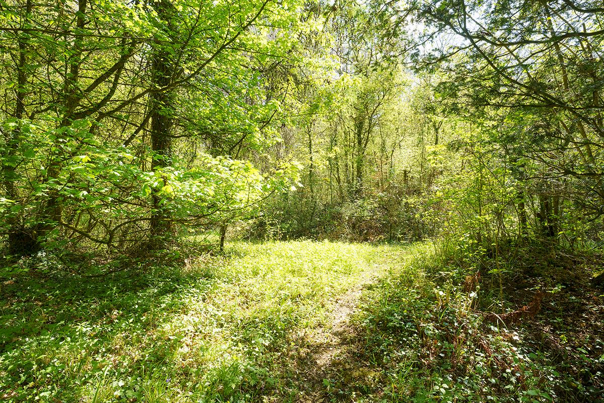 house for sale in Tidenham Chase, Chepstow, Gloucestershire, NP16 BRS012225698 Knight Frank