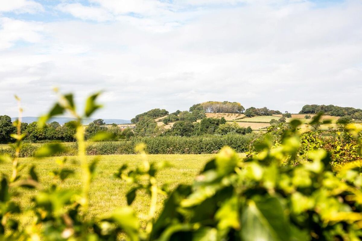 house for sale in The Village, LittletonuponSevern, Bristol, BS35