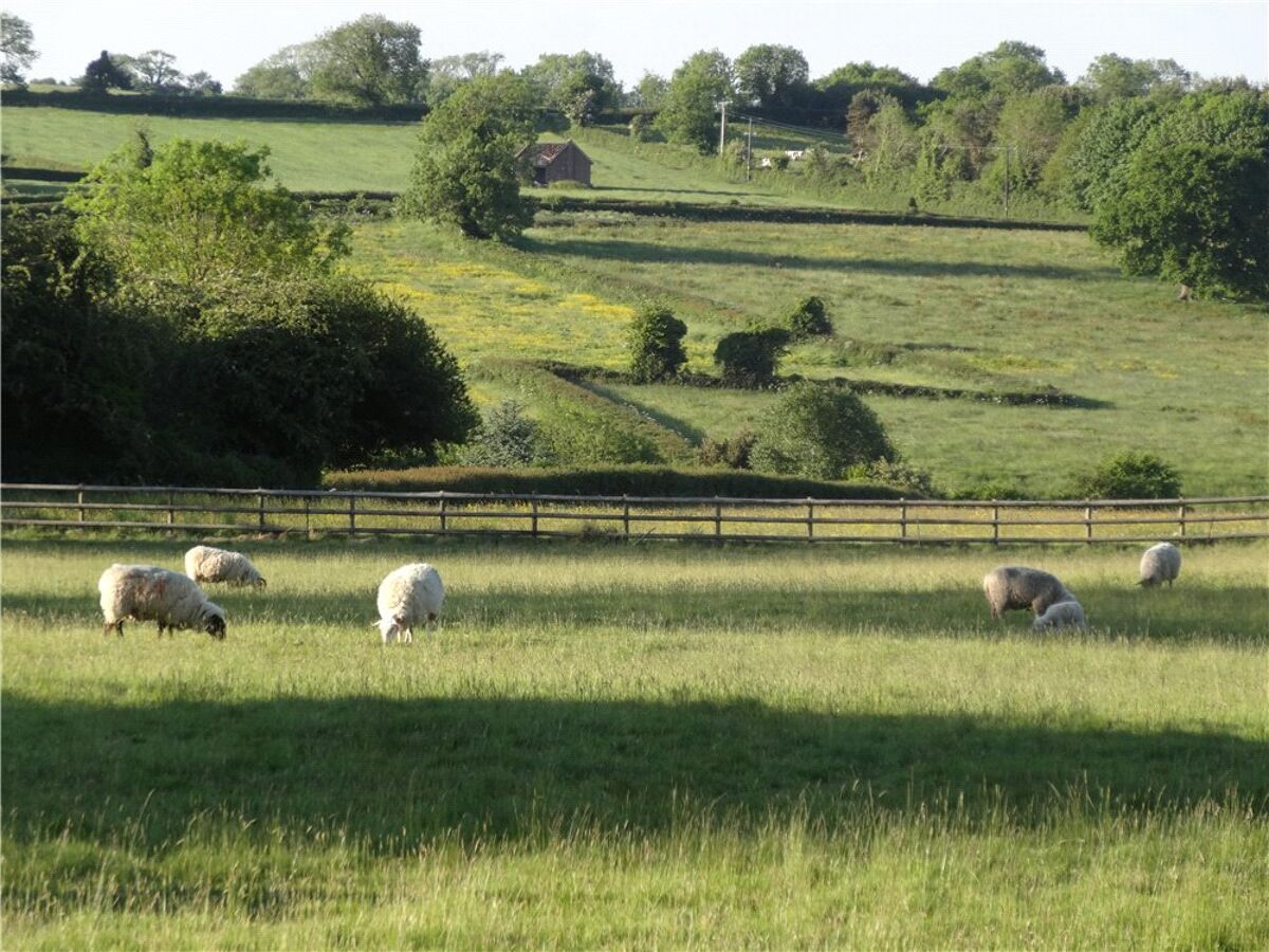 house for sale in Old Hill, Winford, Bristol, North Somerset, BS40 BRS120195 Knight Frank