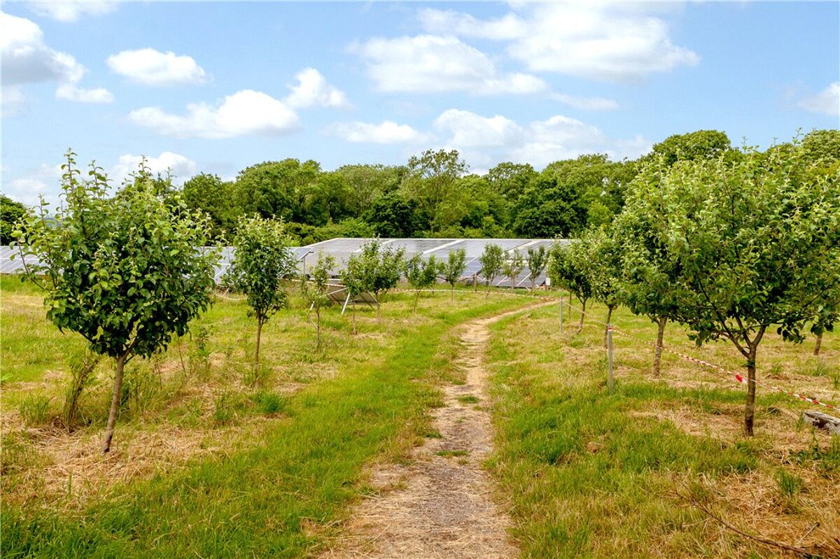 development plot for sale in Brockley Lane, Brockley, Bristol, North