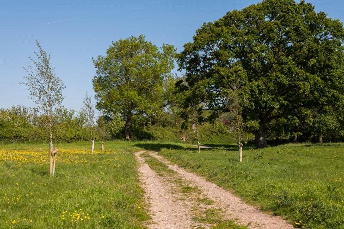 development plot for sale in Iwood, Wrington, Bristol, North Somerset