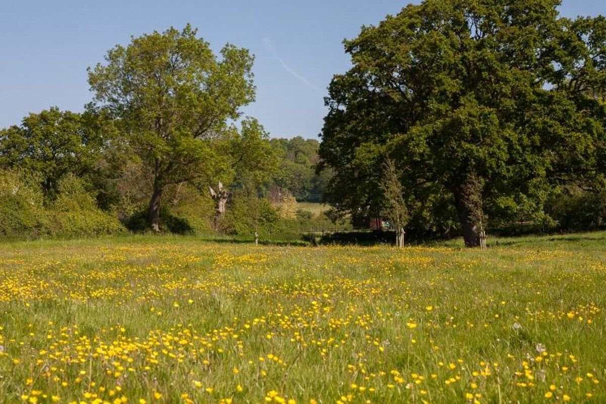 development plot for sale in Iwood, Wrington, Bristol, North Somerset