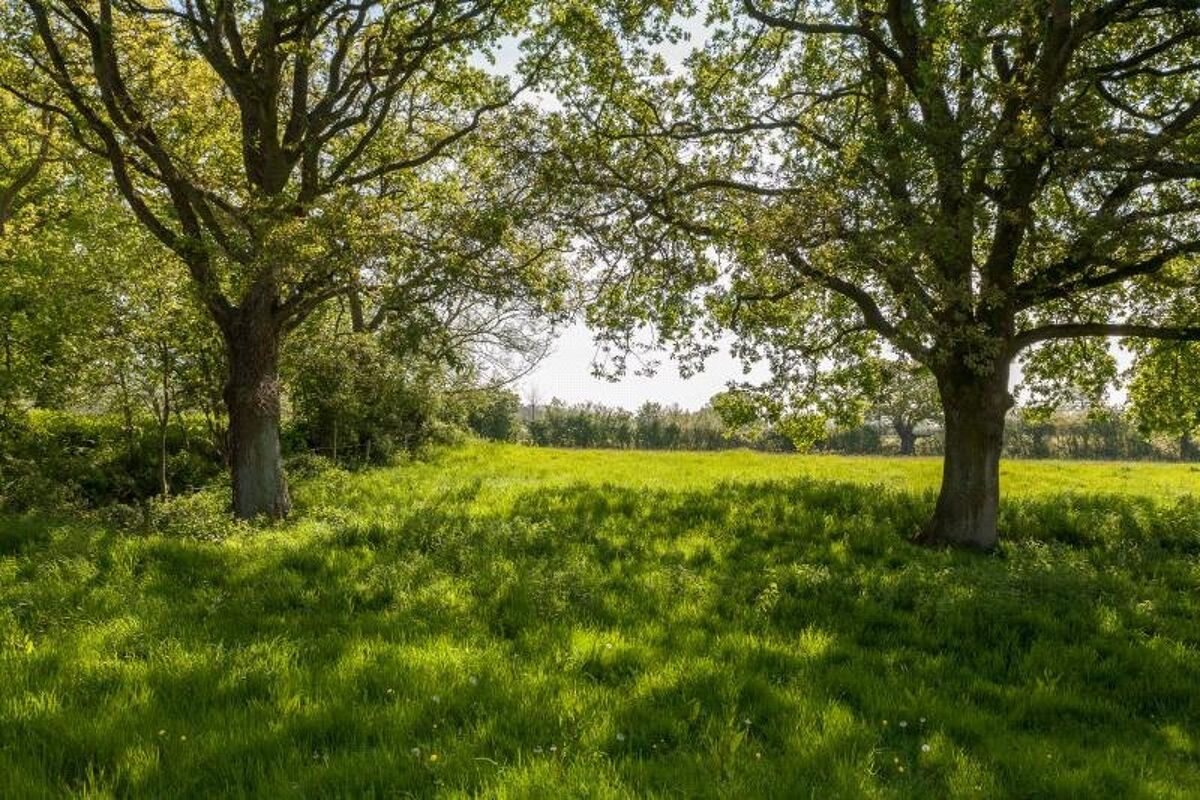 development plot for sale in Iwood, Wrington, Bristol, North Somerset