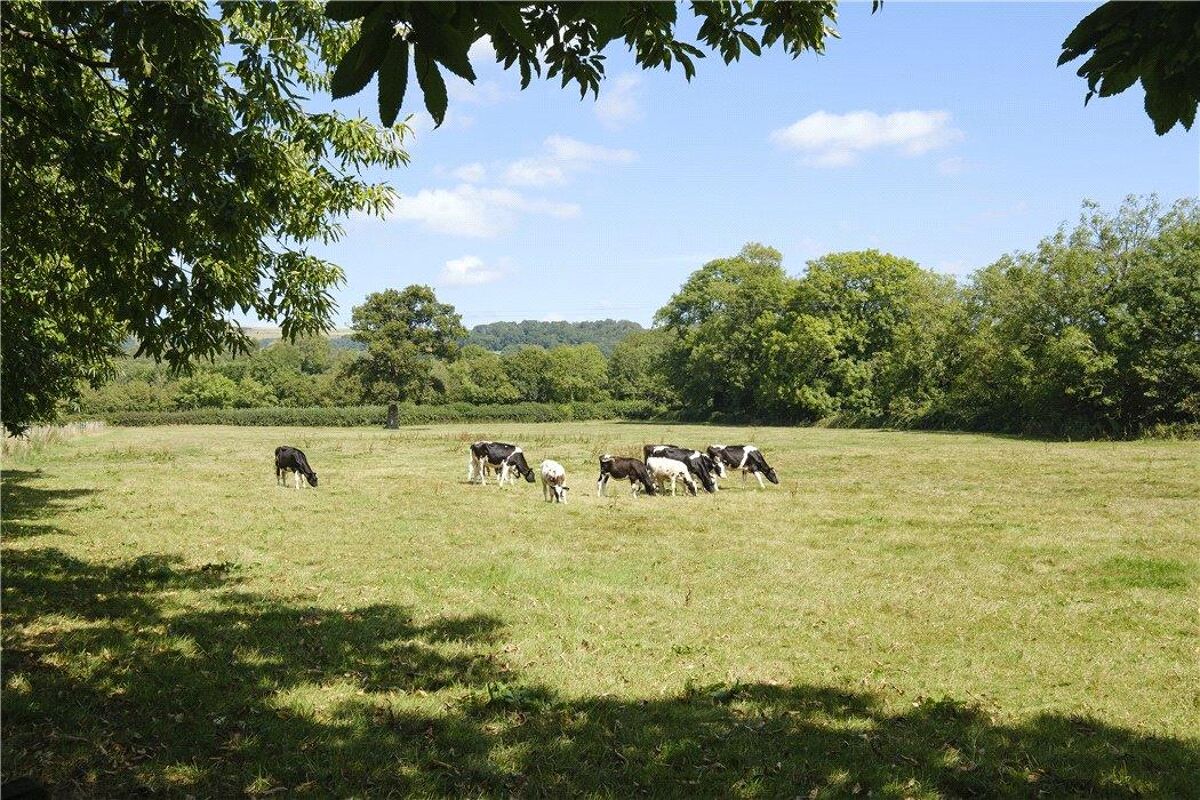 house for sale in Henley Lane, Wookey, Wells, Somerset, BA5 BRS190338 Knight Frank