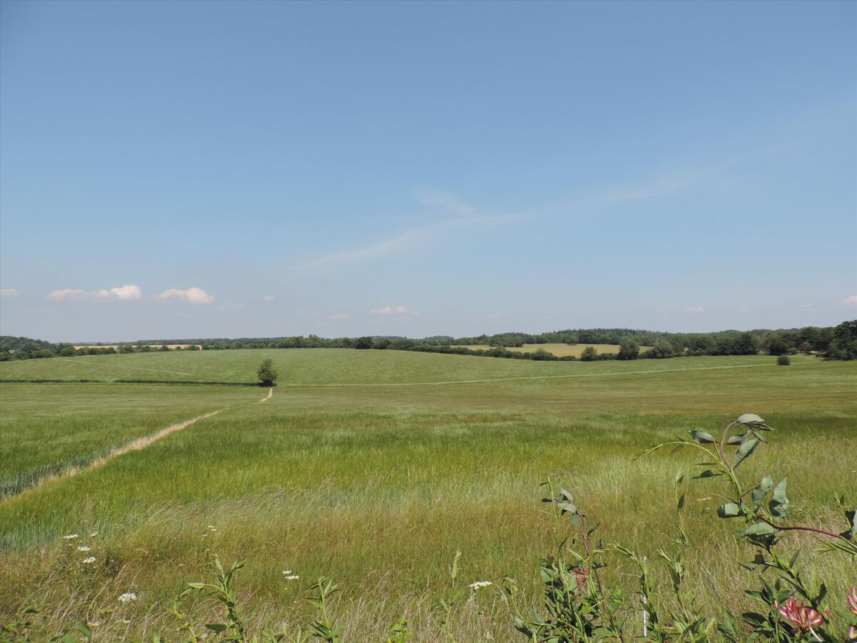 house for sale in Dummer, Basingstoke, Hampshire RG25 BSK012040794