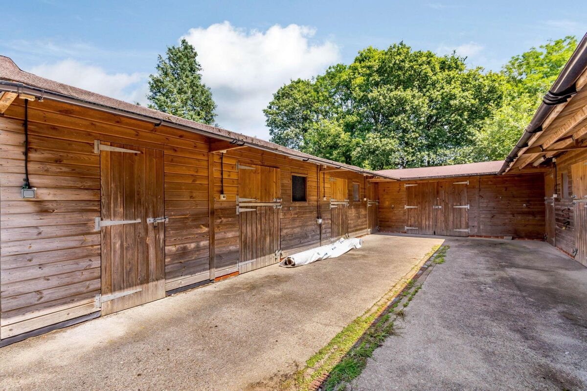 house for sale in Broad Oak, Odiham, Hook, Hampshire, RG29