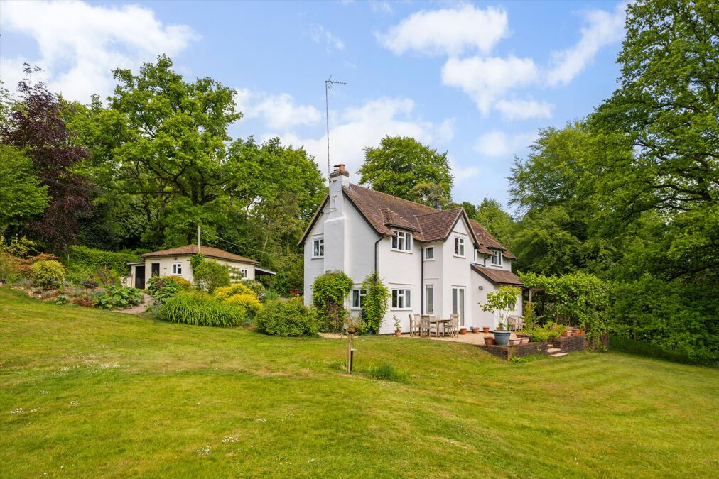 Image of Powntley Copse, Alton, Hampshire, GU34