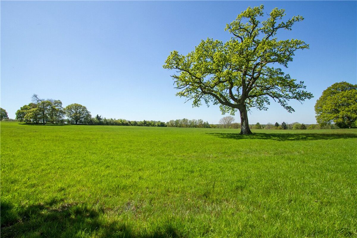 house for sale in Crown Lane, Newnham, Hook, Hampshire, RG27