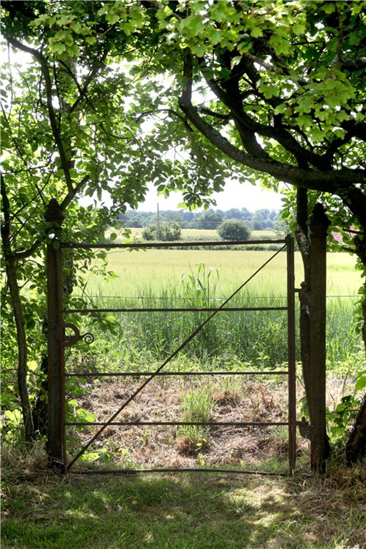 house for sale in Mill Lane, Hartley Wespall, Hook, Hampshire, RG27