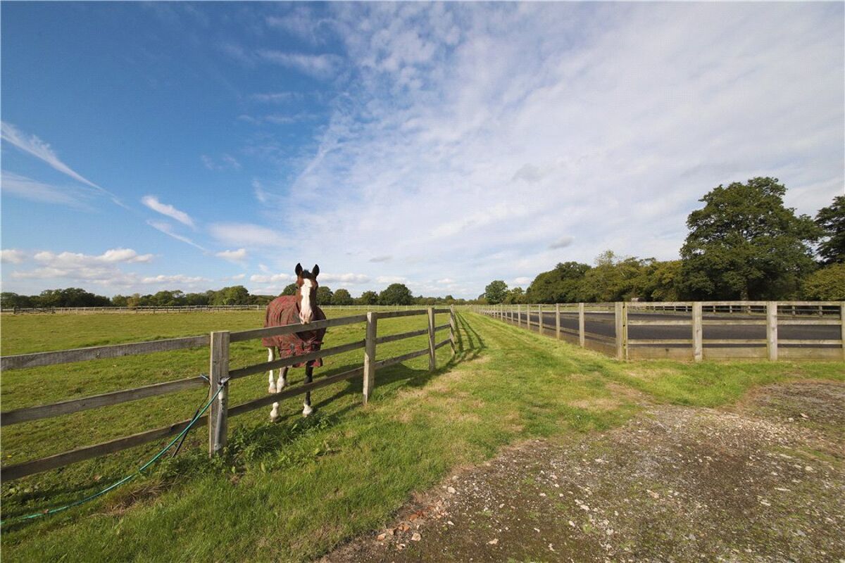 house for sale in Mattingley, Hook, RG27 BSK170174 Knight Frank