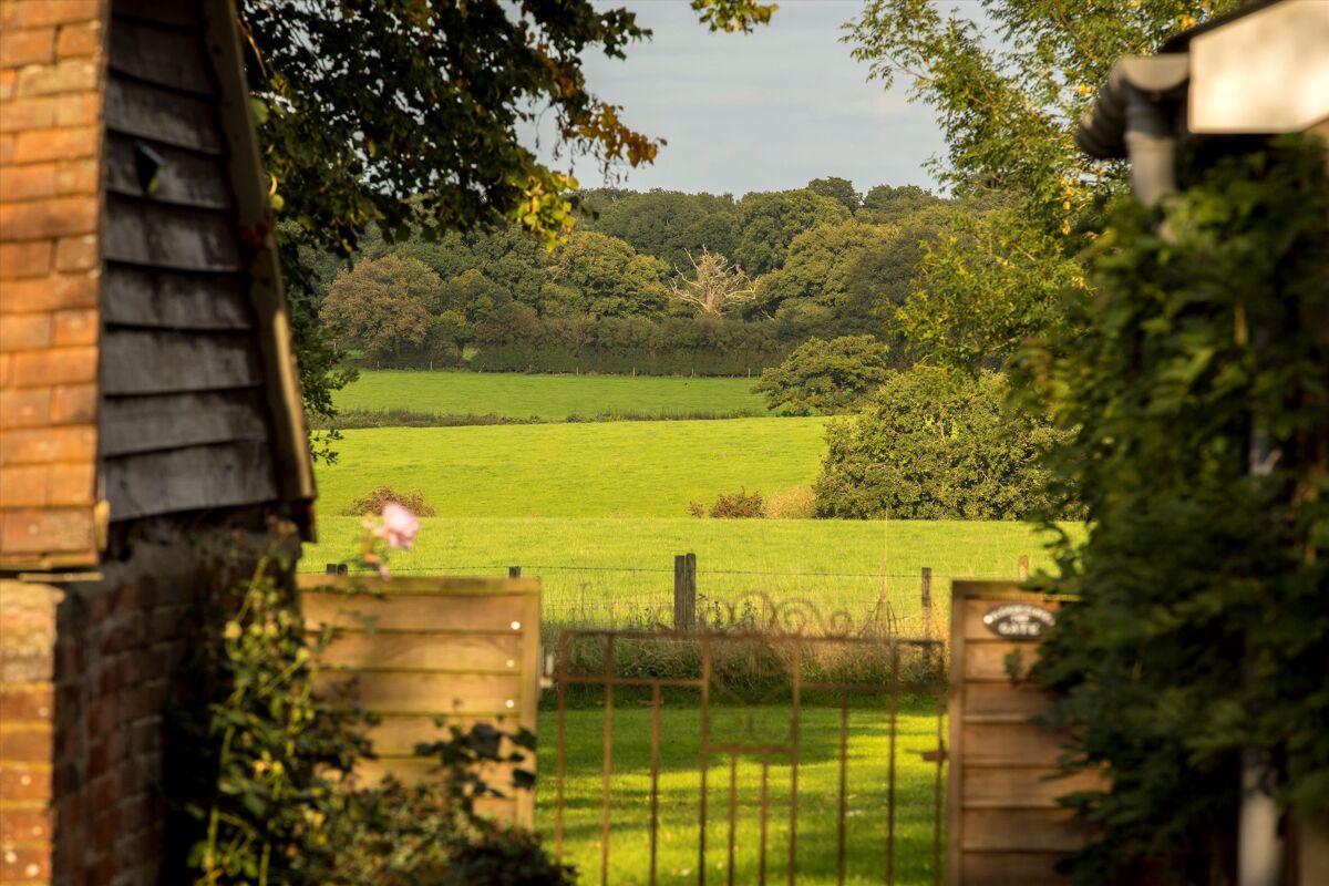 house for sale in Sapley Lane, Overton, Basingstoke, Hampshire RG25