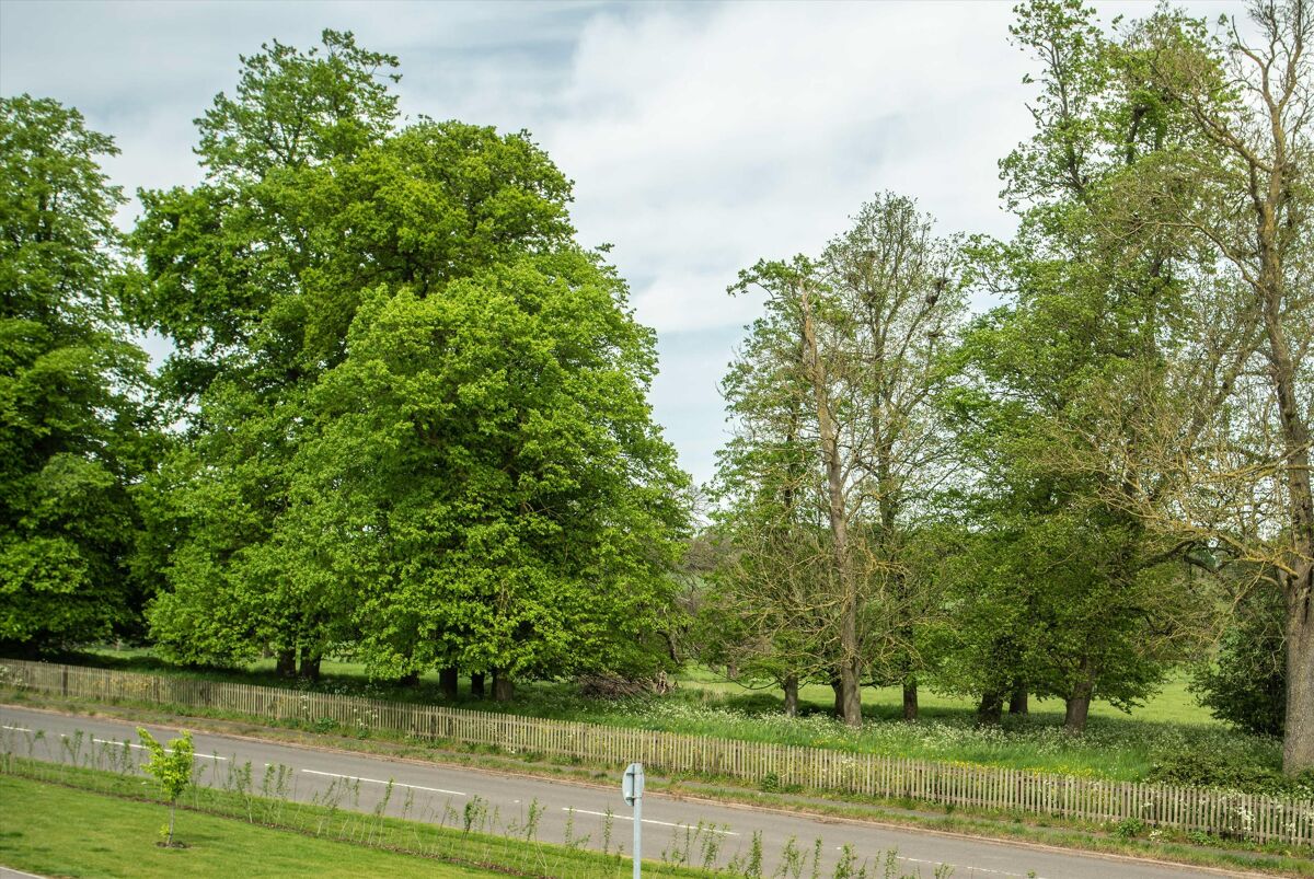 house for sale in Mayes Drive, Buntingford, Hertfordshire, SG9