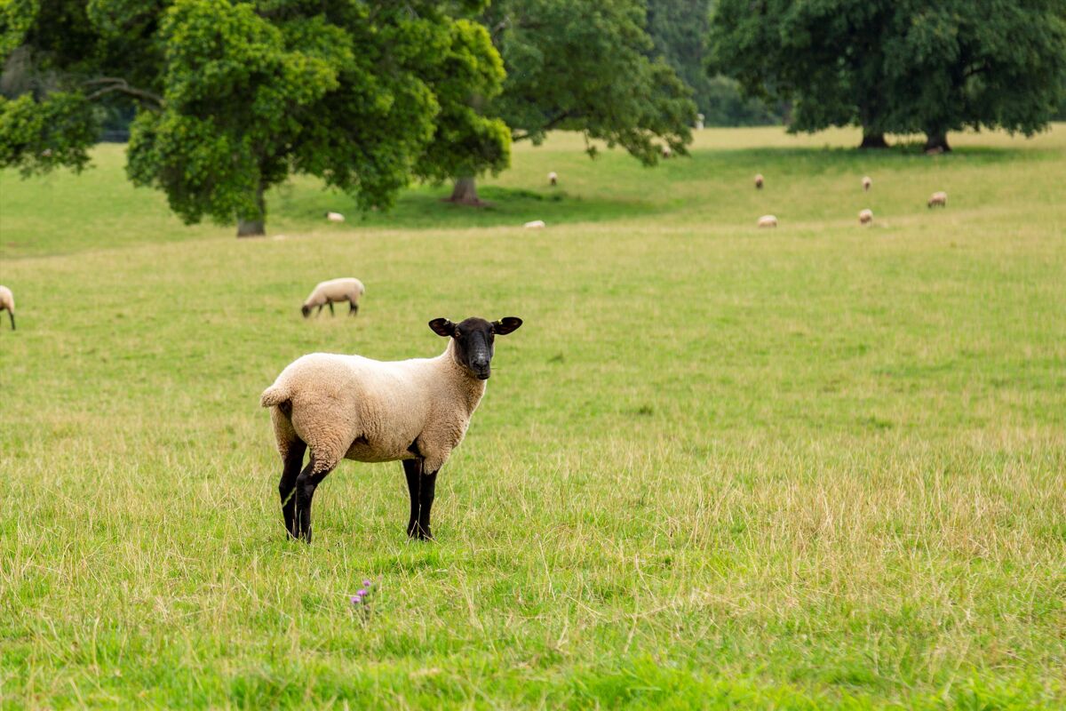 For sale, 2 bedroom barn conversion. 4 The Courtyard, Lydeard, Taunton, Somerset, TA