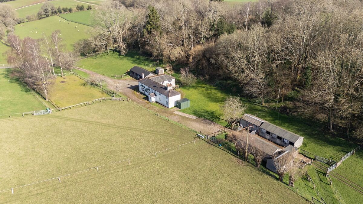 A Surrey Sanctuary Awaits Its Renaissance 5