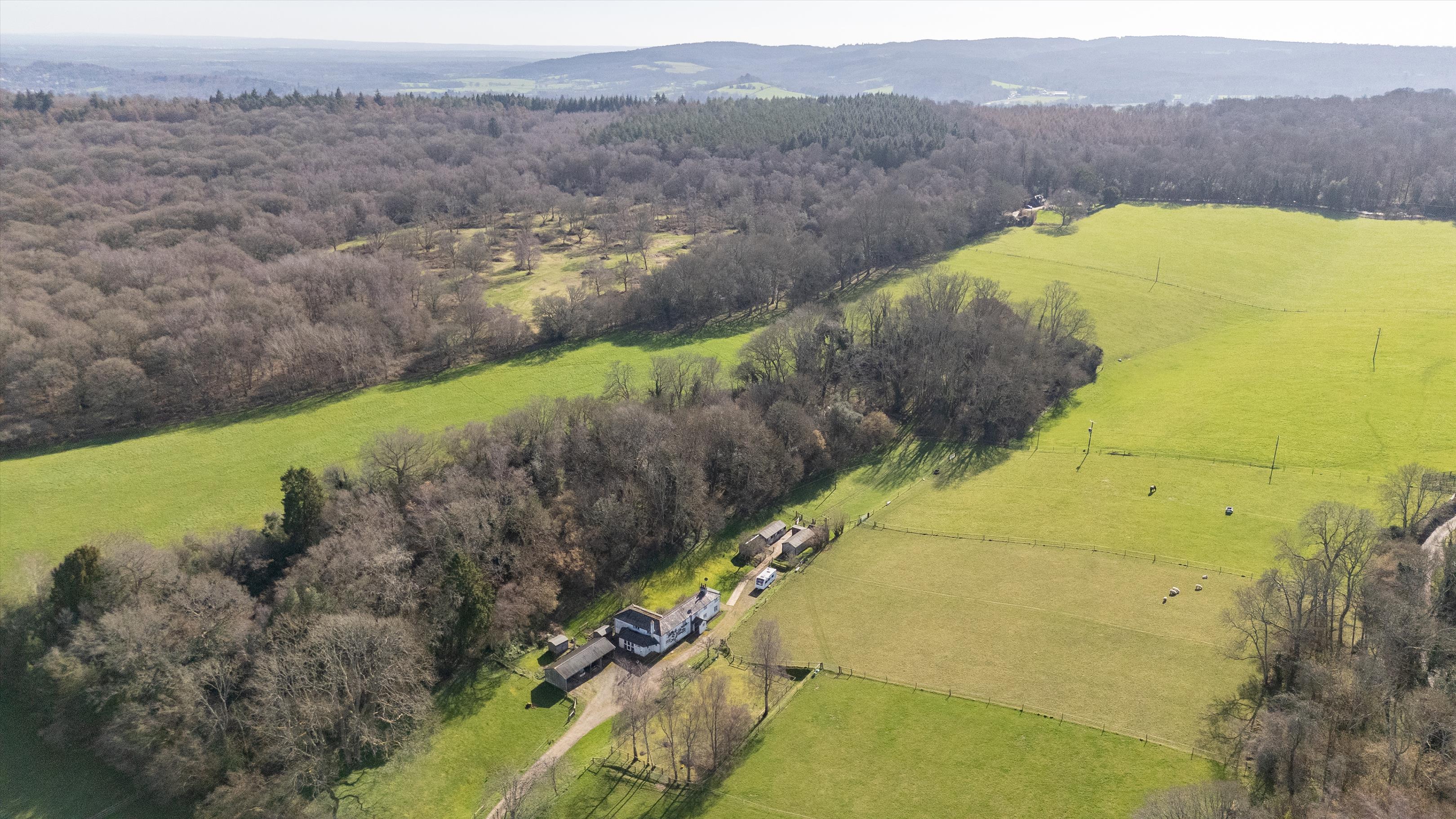 A Surrey Sanctuary Awaits Its Renaissance 2