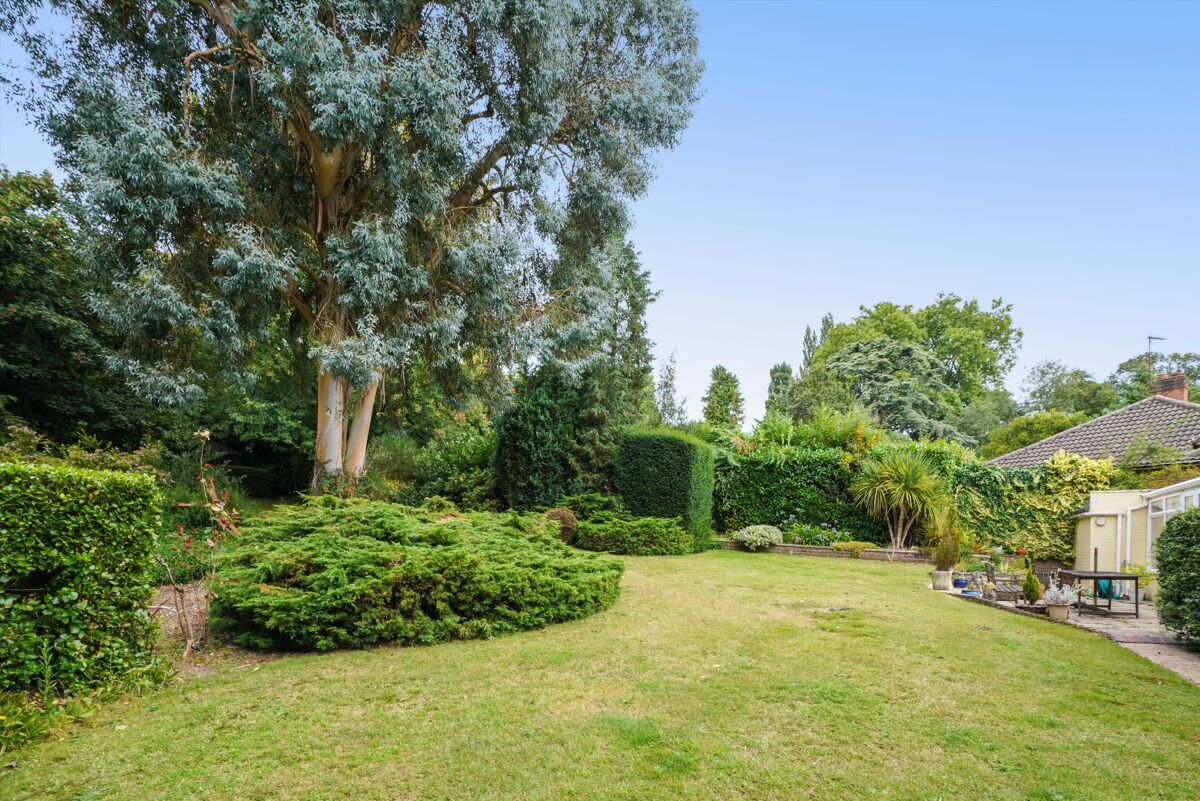 bungalow for sale in Twinoaks, Cobham, Surrey, KT11 CBM012168916