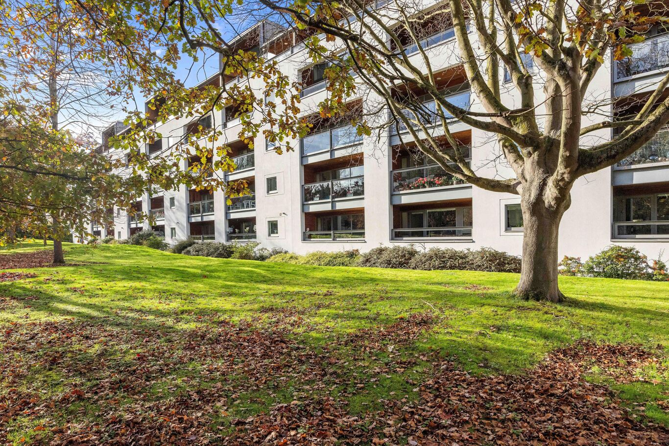 Image of Century Court, Montpellier Grove, Cheltenham, Gloucestershire, GL50