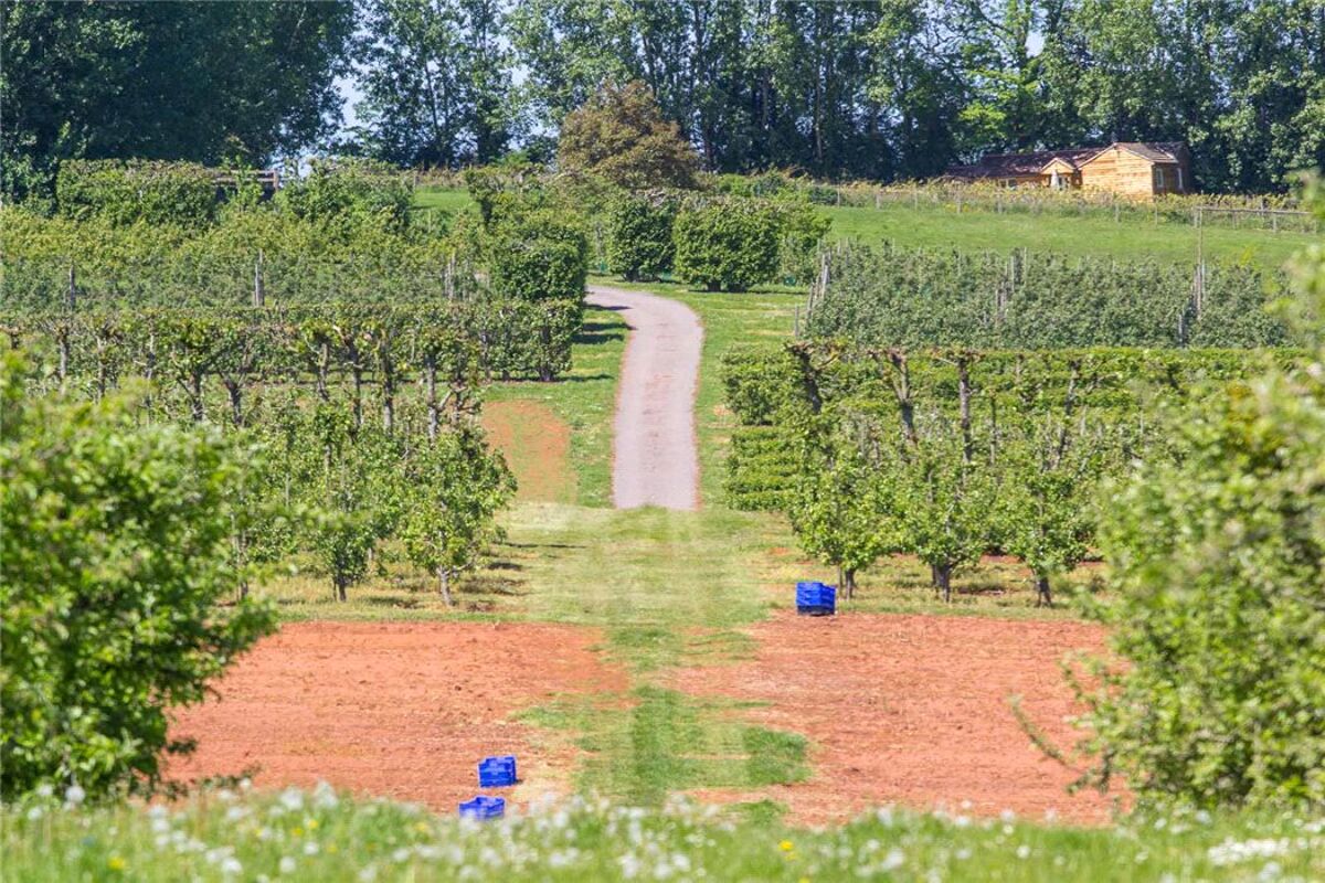 farm/estate for sale in Oxenhall, Newent, Gloucestershire, GL18 CHE150112 Knight Frank