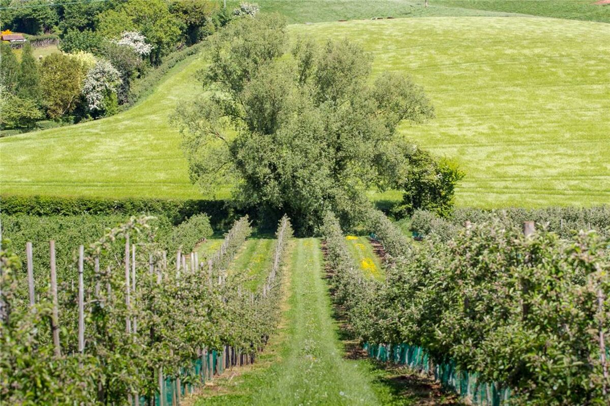 farm/estate for sale in Oxenhall, Newent, Gloucestershire, GL18 CHE150112 Knight Frank