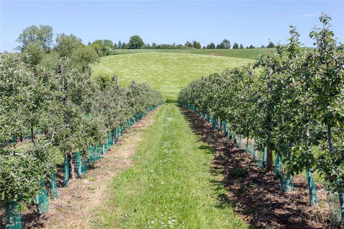 farm/estate for sale in Oxenhall, Newent, Gloucestershire, GL18 CHE150112 Knight Frank