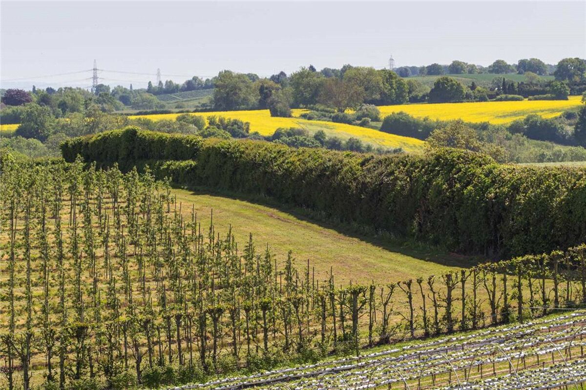 farm/estate for sale in Oxenhall, Newent, Gloucestershire, GL18 CHE150112 Knight Frank