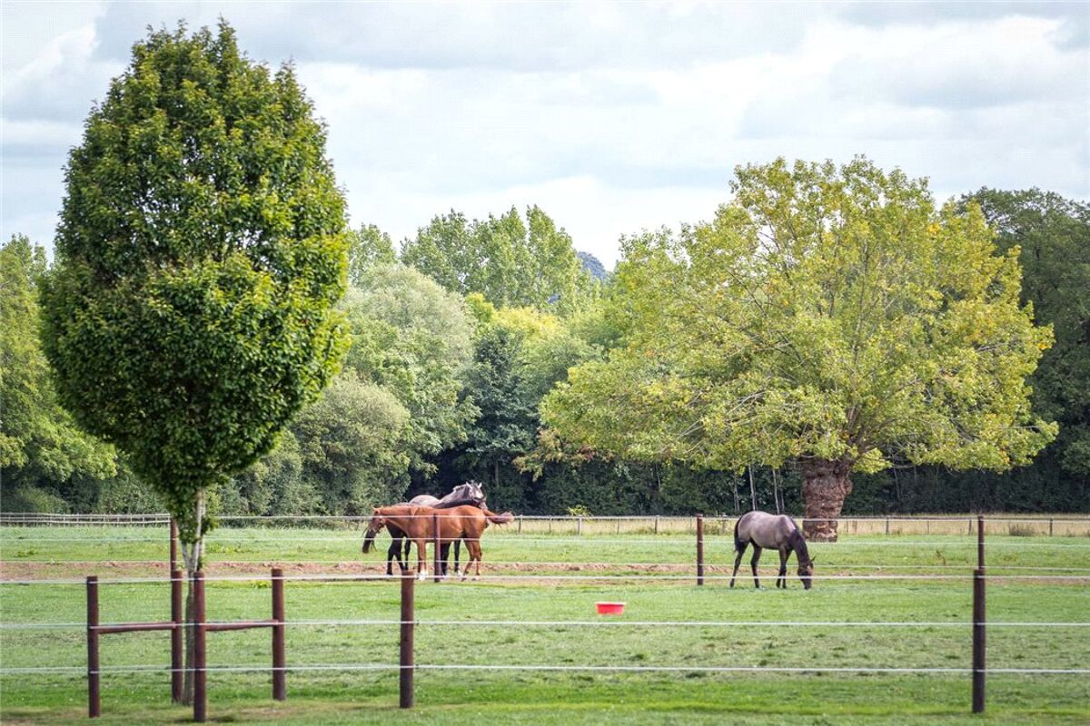 house for sale in Oridge Street, Corse, Gloucester, Gloucestershire