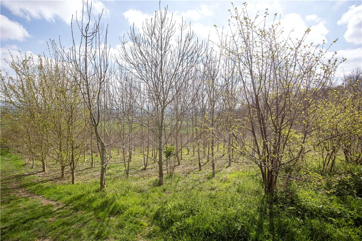 Farm/Estate for sale in Sandhurst Lane, Sandhurst, Gloucester