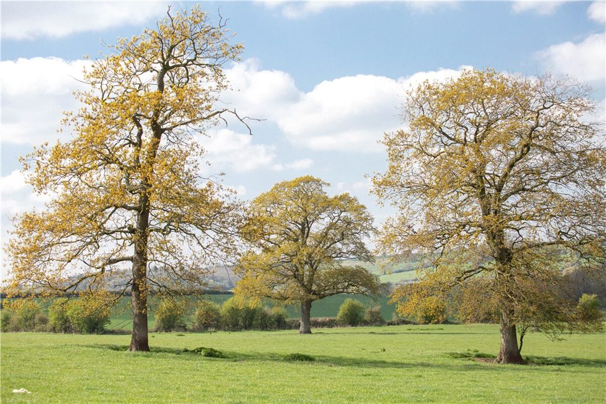 Farm/Estate for sale in Sandhurst Lane, Sandhurst, Gloucester