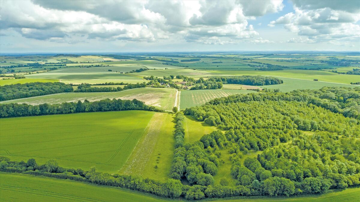 house for sale in Salisbury, Dorset, SP5 CHO012076365 Knight Frank