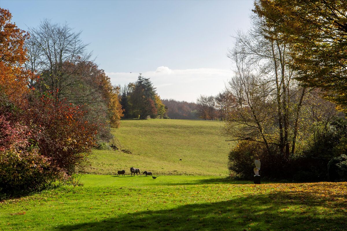 house for sale in Beenham, Reading, Berkshire, RG7 CHO012157163