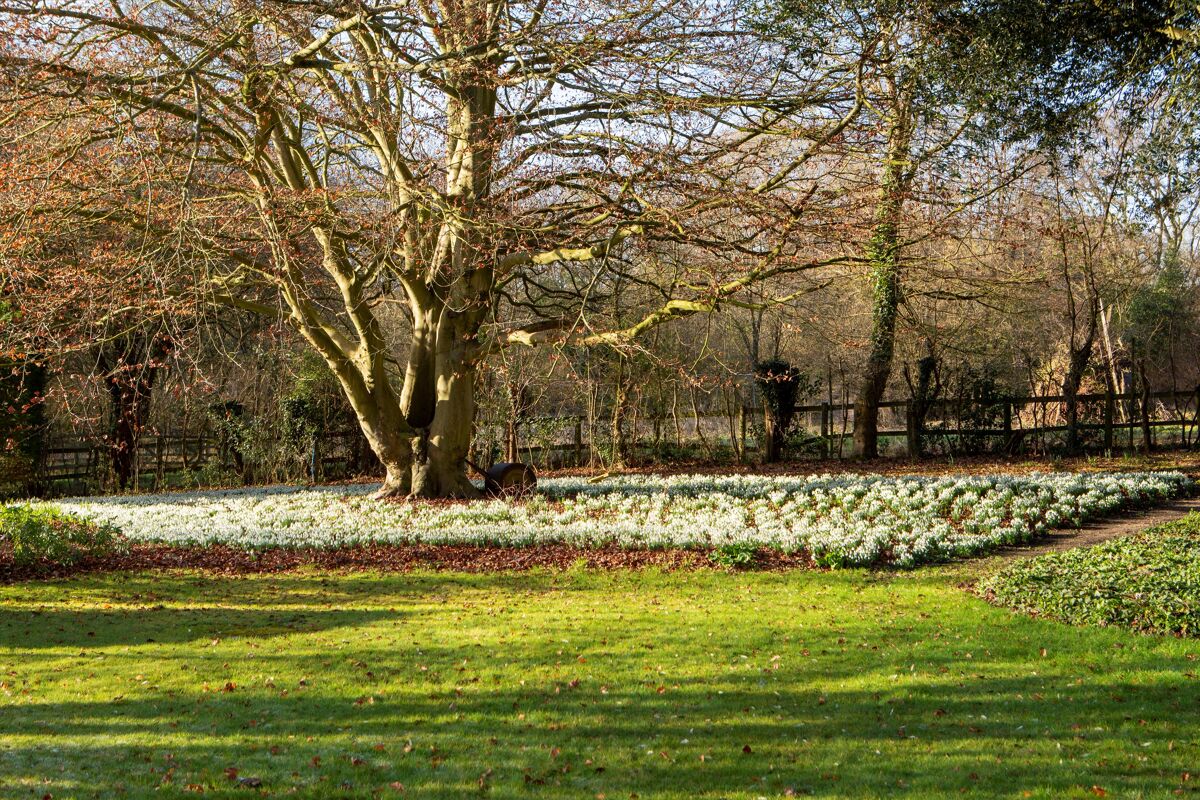 house for sale in Beenham, Reading, Berkshire, RG7 CHO012157163