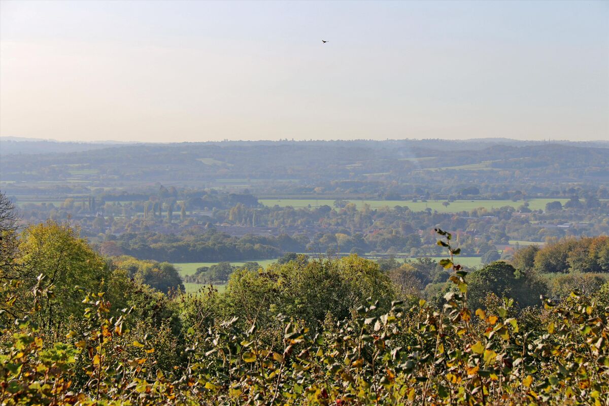 8 Bedroom House for Sale in West Peckham, Near Plaxtol, Kent Knight Frank