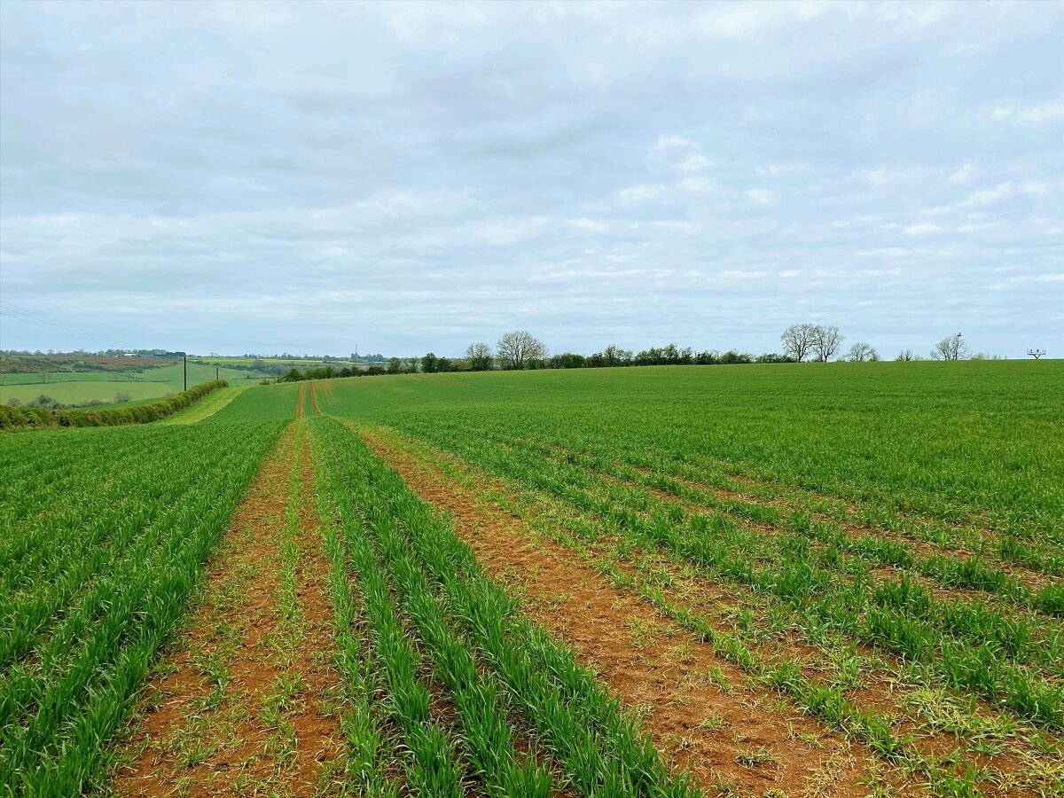 Land for sale in Warmington, Banbury, Oxfordshire, OX17 CHO012216067