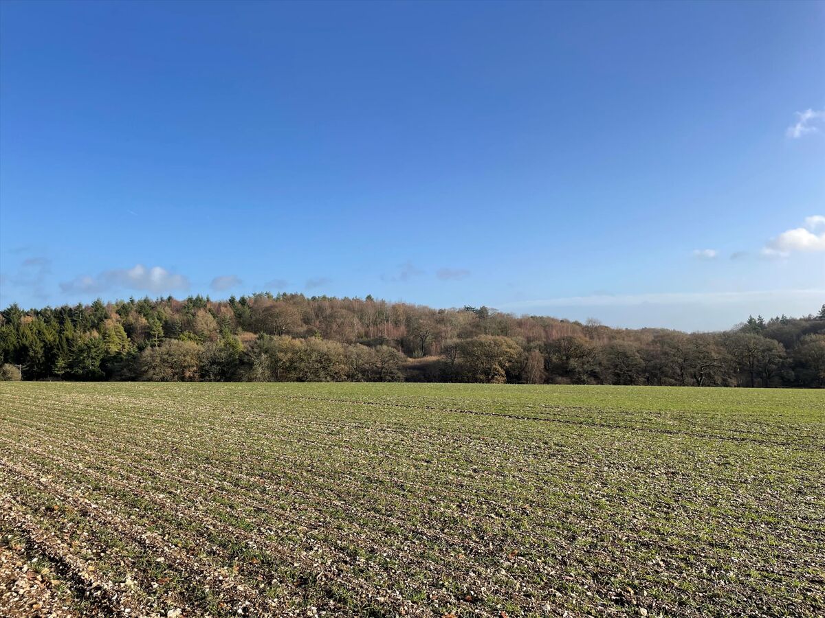 Land for sale in Fosbury, Marlborough, Wiltshire, SN8 CHO012227990