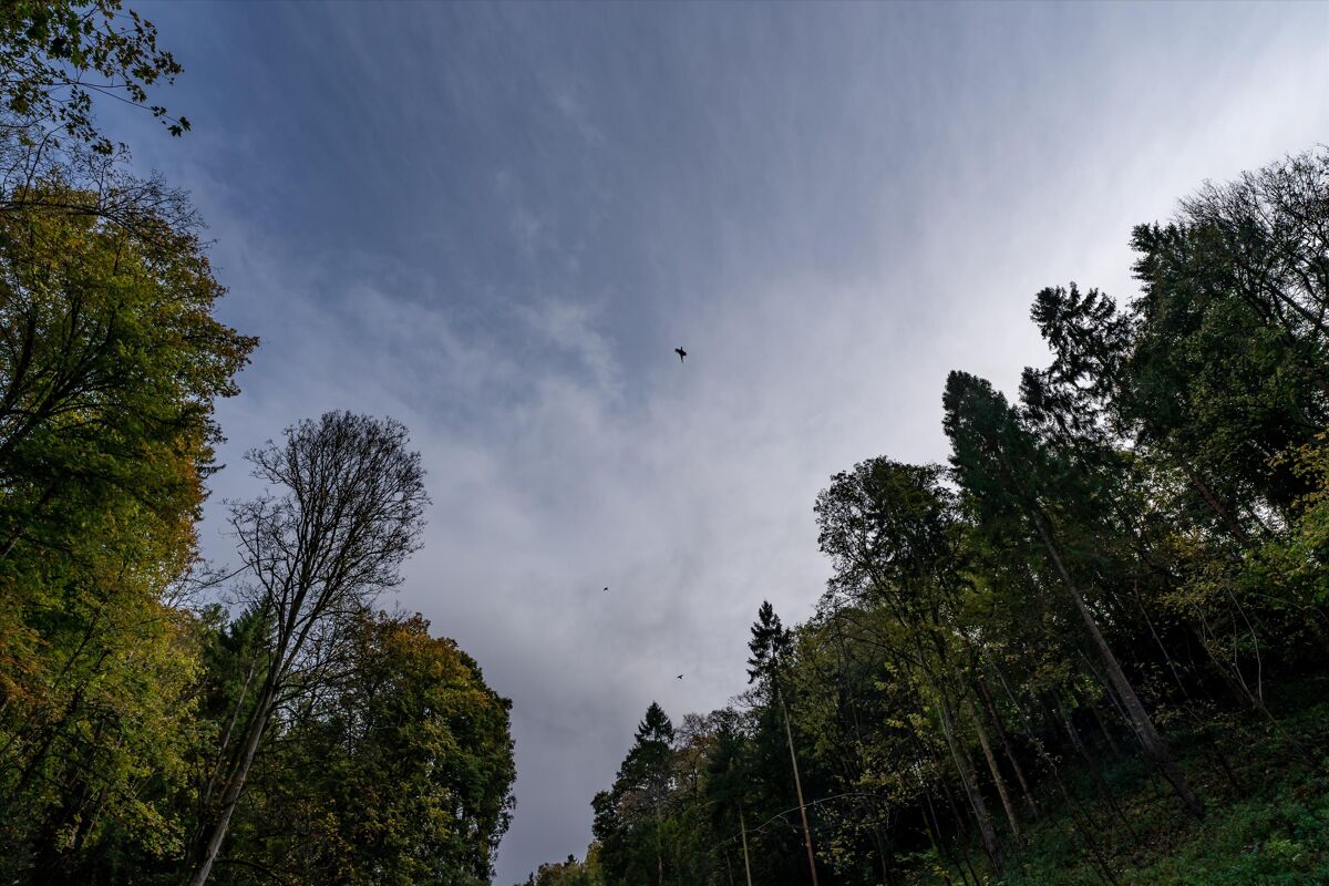 Land for sale in Lot 2, Hexton Manor Estate, Hexton, Hitchin