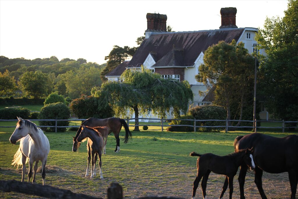 Image of Guildford Road, Broadbridge Heath, Horsham, West Sussex, RH12