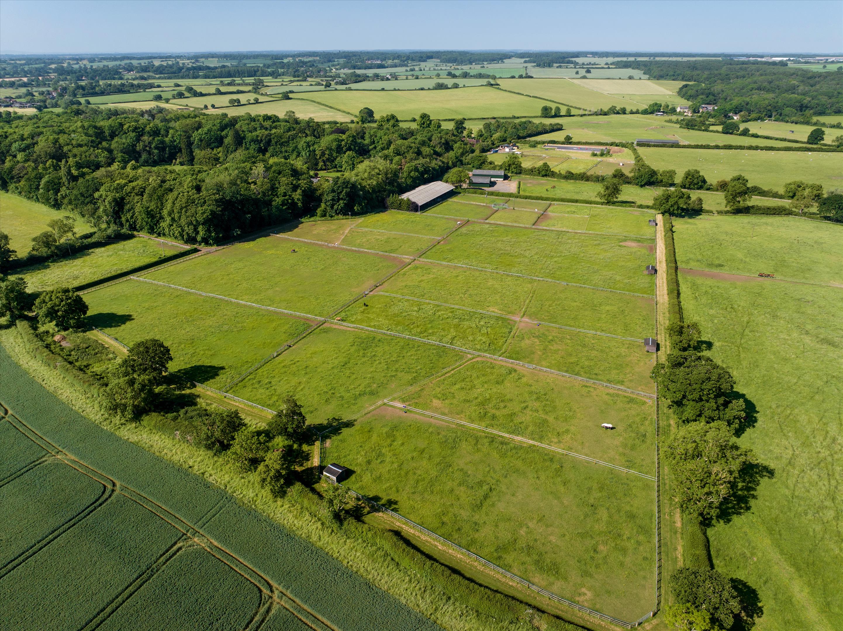 Timeless Elegance Meets Modern Luxury 3