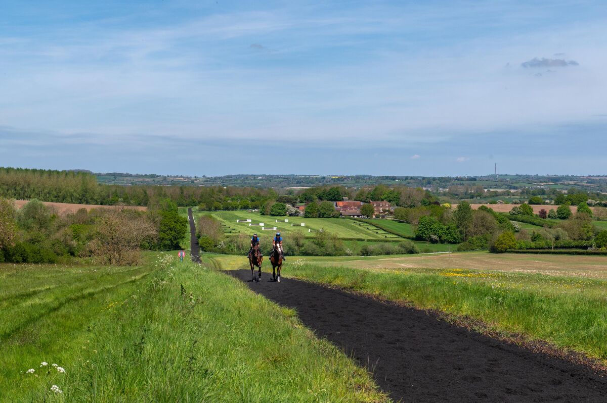 237 acre equestrian and arable farm in Oxfordshire | Knight Frank