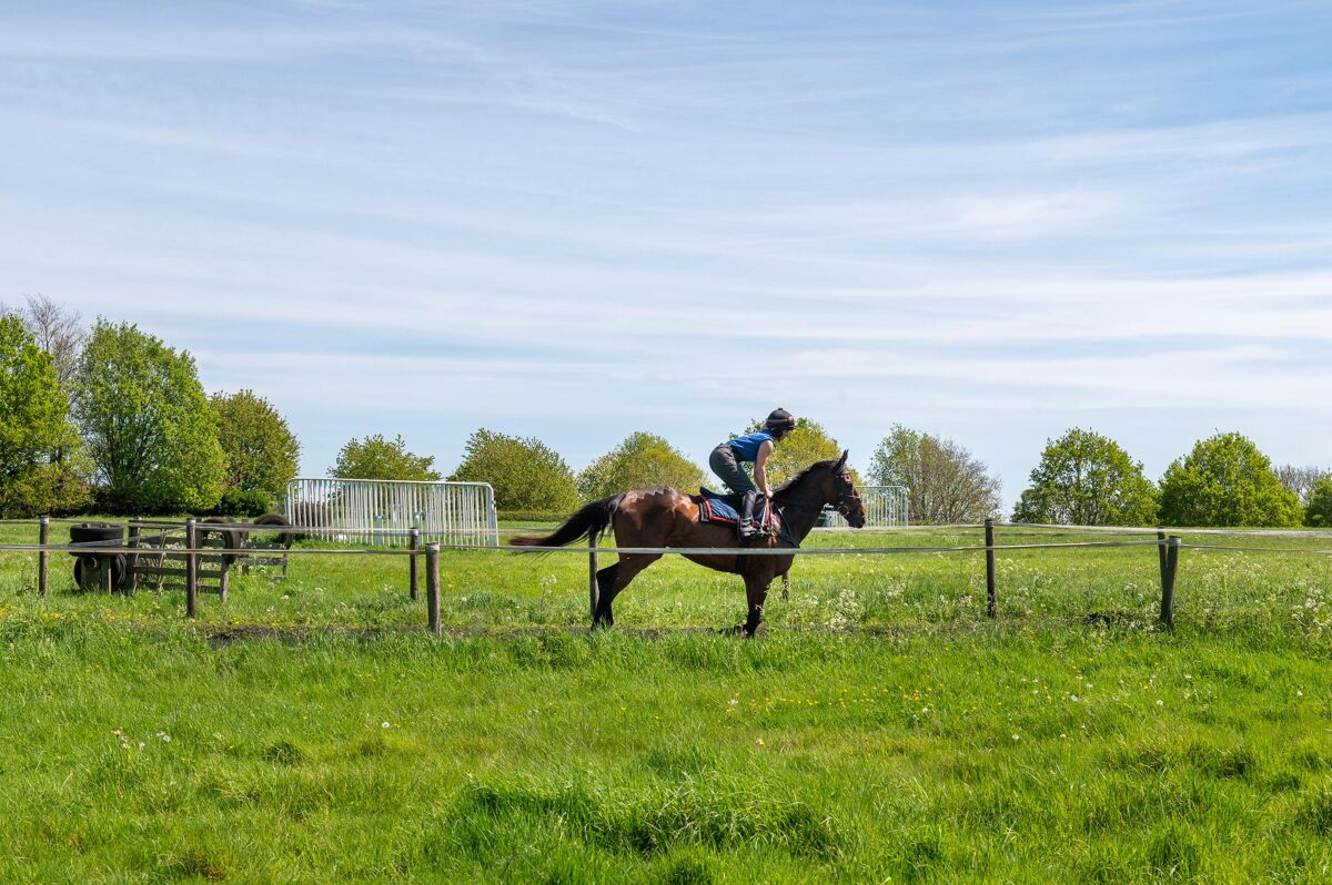 237 acre equestrian and arable farm in Oxfordshire | Knight Frank